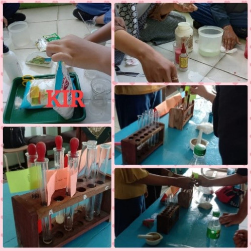 KARYA ILMIAH REMAJA